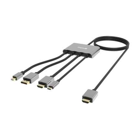 Sandberg 509-21 câble vidéo et adaptateur 2 m HDMI Type A (Standard) DisplayPort + Mini DisplayPort + HDMI + USB Type-C Noir