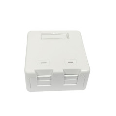 Lanview LVN127767 prise de courant 2 x RJ-45 Blanc