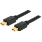Microconnect MDPMDP2BV1.4 câble DisplayPort 2 m Mini DisplayPort Noir Microconnect MDPMDP2BV1.4 câble DisplayPort 2 m Mini DisplayPort Noir