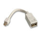 Microconnect MDPDP câble DisplayPort 0,15 m Mini DisplayPort Blanc Microconnect MDPDP câble DisplayPort 0,15 m Mini DisplayPort Blanc