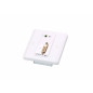 ATEN Système d'extension Cat 5 DVI/audio avec plaque murale MK (1920 x 1200 @ 40 m) ATEN Système d'extension Cat 5 DVI/audio avec plaque murale MK (1920 x 1200 @ 40 m)