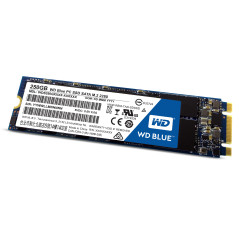 Western Digital Blue PC M.2 250 Go