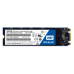 Western Digital WDS250G1B0B