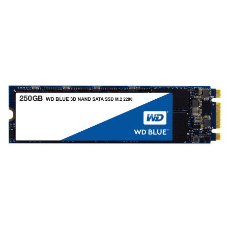 Western Digital WDS250G2B0B