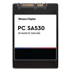 Western Digital SDASB8Y-256G-1122