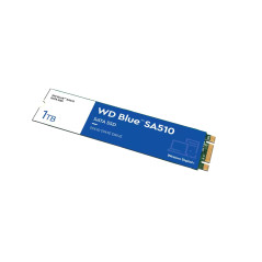 Western Digital WDS100T3B0B