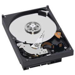 Western Digital RE2-GP 1TB 3.5" 1000 Go Série ATA II