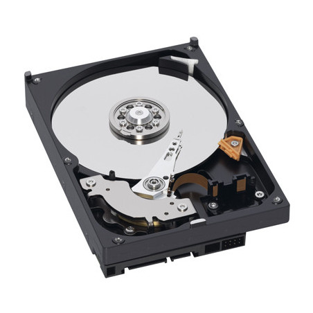 Western Digital RE2-GP 1TB 3.5" 1000 Go Série ATA II