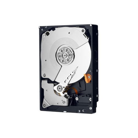 Western Digital 250GB RE4 3.5" 250 Go Série ATA II