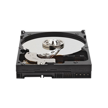Western Digital Caviar Blue 320GB 3.5" 320 Go Série ATA II