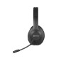 Sandberg 126-45